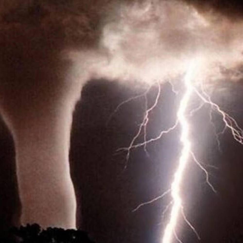 Meet your Posher, Grayson